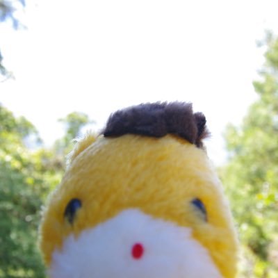 miyatter39's profile picture. 