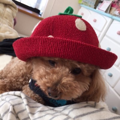 hiroya6109's profile picture. 