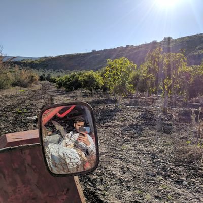 shlomiii's profile picture. Engineering