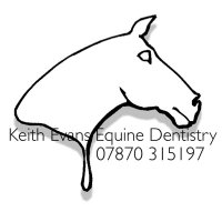 DartmoorHorseDentist (@equineteeth) 's Twitter Profile
