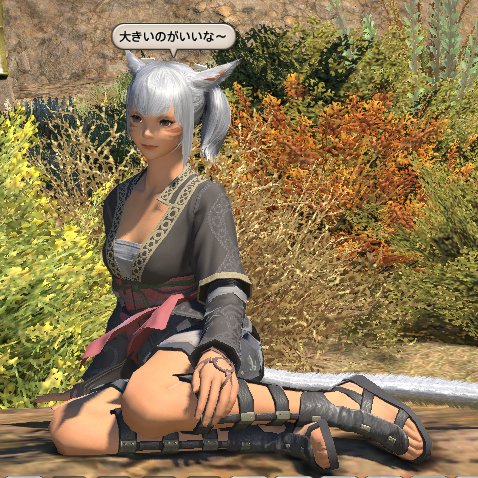 Highwaystar0807's profile picture. 水道ガス下水も来てない田舎在中愛がほしいだけなんです！寂しいと死ぬフレンズ姫が一番大好き。誰でもすぐに好きになっちゃう病(猫)姫が幸せならおっけーです👍壺裏金霊感商法マルチその他ぁゃιぃ健康食品やよくわからないのはお断りします唯一神あさこ神しか勝たん！ぬ┗┻(^ω^)┻┛ん