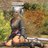 Highwaystar0807
