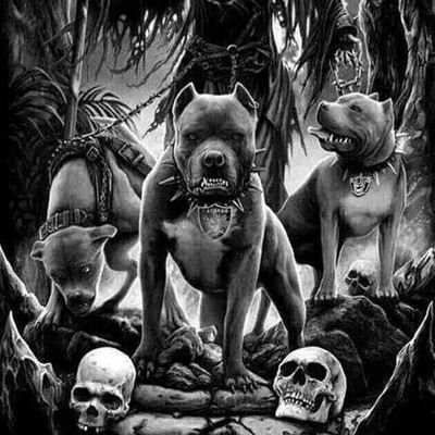 indiantaco44's profile picture. 