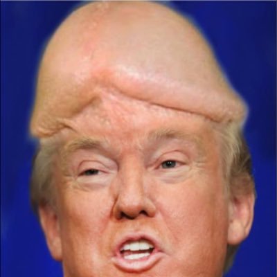 kotzbatahat's profile picture. 