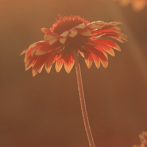 Thoughts on faith, humanity, and what it means to be fully alive.