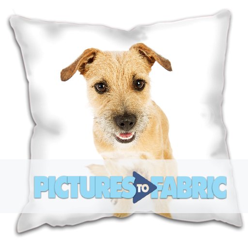 Pictures to Fabric - We take your photos and make amazing personalised Cushions, Canvas, Bags, Fabric & much more. Your memories create the perfect gift