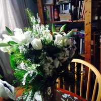Patricia McLaughlin (@msprmclaugh) 's Twitter Profile Photo Patricia McLaughlin (@msprmclaugh) 's Twitter Profile Photo