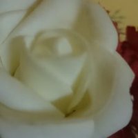 ksa (@ssssaaa12345321) 's Twitter Profile