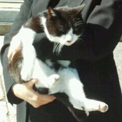 kebukaineko's profile picture. 2017/1/22 はじめてのツイッター(o^^o)