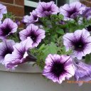 Beverly McLaughlin - @Kay004Beverly - Twitter