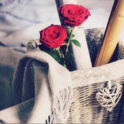 xo54ELfoIoH3jvi's profile picture. 