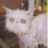 twonumbef's profile image