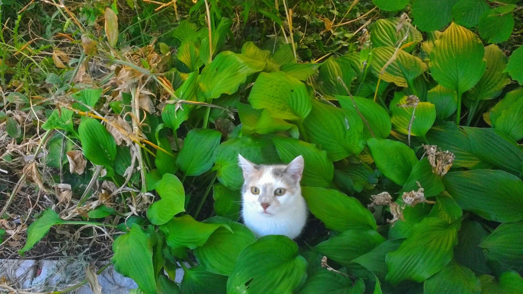 Treeline17's profile picture. Wetterfreak, Öko-Tante, draußen zu Hause, am liebsten in Norwegen, Schwerpunkt-Themen: Natur und Klima