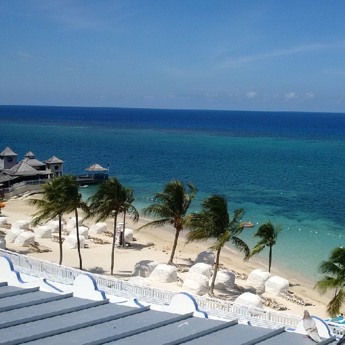 78HoJo's profile picture. 