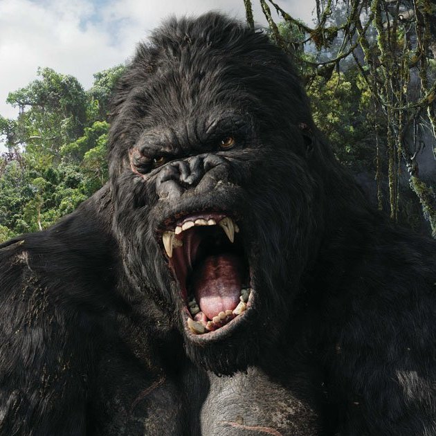 Cal_Broker_Mag's profile picture. We cover brokers, agents, carriers and consultants in the fields of health & life insurance, disability, workers' comp and financial services.