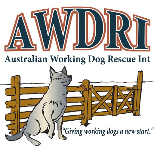 Australian Working Dog Rescue is a registered charity that caters to working breed dogs of Australian origin.    http://t.co/GxfjUwsO