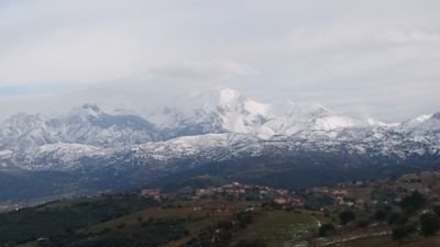 bounouhjsk's profile picture. 