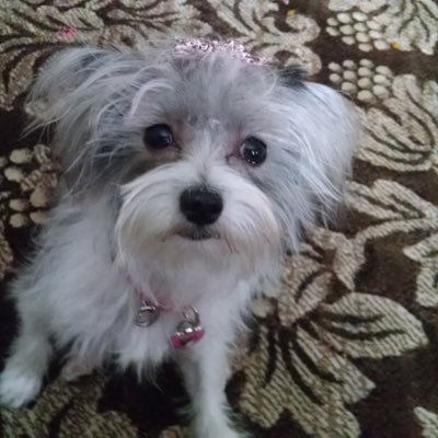 realBeverlyR's profile picture. 