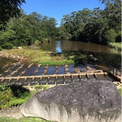 Alice73la's profile picture. 