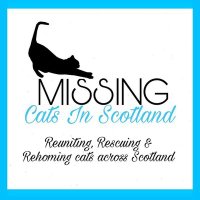 MissingCats Scotland(@missingcatsscot) 's Twitter Profile Photo
