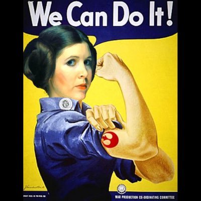 lsroderman's profile picture. Resisting & persisting