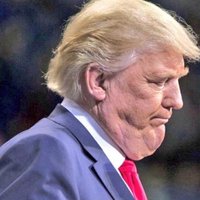 Craig Wright (@1600trumpnugget) 's Twitter Profile Photo Craig Wright (@1600trumpnugget) 's Twitter Profile Photo