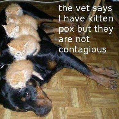 dream41495's profile picture. Life is full of surprises & changes every moment of everyday some changes you can accept some you can't some you just have to grin & bear.1 day It will all end.