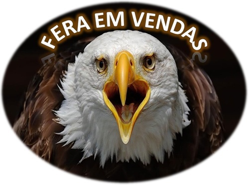 feraemvendas's profile picture. Se você pudesse vender a sua experiência pelo preço que ela lhe custou, ficaria rico. (J. P. Morgan)