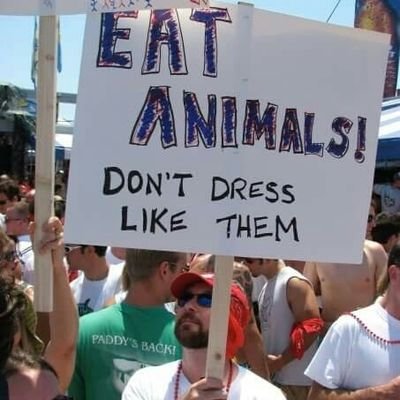 notasfastTom's profile picture. DC area sportsfan, esp Caps & Nats, conservative/libertarian politics, and follow stupid but funny tweeters of all sports/political persuasions