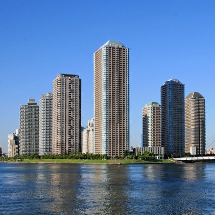 sefea42's profile picture. 