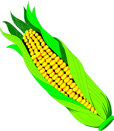 Corn trade updates - get all the latest news and tips on corn trade!