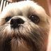 MarisaRuthKay ๐ต๐ง๐๐ถ (@ris767) Twitter profile photo MarisaRuthKay ๐ต๐ง๐๐ถ (@ris767) Twitter profile photo