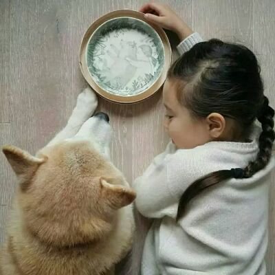 ying_1782589520's profile picture. 万年腐，大爱月岛萤