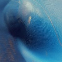 中2エロ (@syartoric) Twitter profile photo