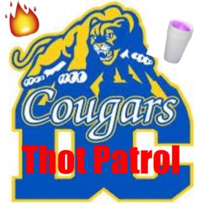 🗣 HALT! THIS IS DC THOT PATROL! NOTIFY US OF ANY THOTS AND WE WILL BRING THEM DOWN! 🅱️ A HERO AND STOP THE THOTS! 📢