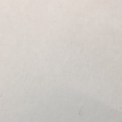 taiki4272's profile picture. チーズ