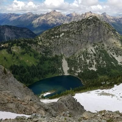 maximiliansdad's profile picture. 