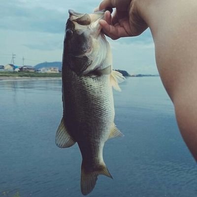バス釣り垢です!
バス釣りしてる方followお願いします!
琵琶湖でしてる方大歓迎です!
いろいろ情報交換とかしたいです!