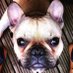 Marvin The Frenchie (@frenchiemarvin) Twitter profile photo Marvin The Frenchie (@frenchiemarvin) Twitter profile photo