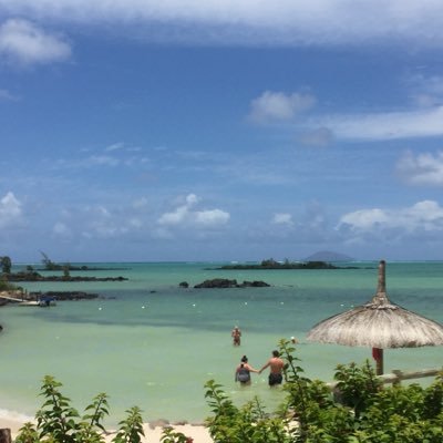 Petict's profile picture. 