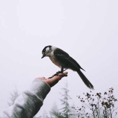 Abco1120Memo's profile picture. ما اجمل الحياة بالسعادة