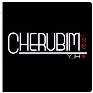 For SVT's Angel. Will post other members' photos to share too - don't judge or hate. Don't use my photos without credit. October Cherubim is now CherubimYJH :)