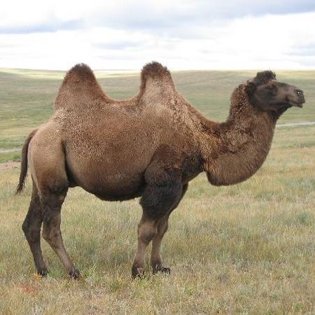 jeancham0's profile picture. Regarder Twitter au lieu de regarder la télé.