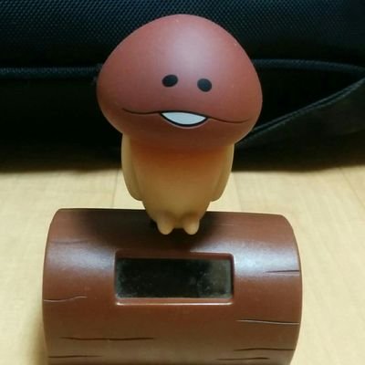 なめこ居候が増殖しすぎました。f(^_^)小さいの入れれば100体超えてます。アコギのお供はなめこです。11匹の猫たちもときどき参加します。
#アコギ
#なめこ
#フォロバ100パーセント