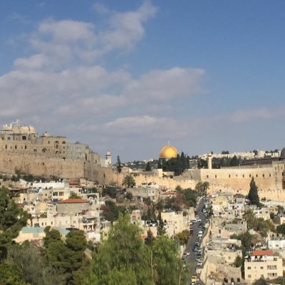 bpezzutti69's profile picture. Risk Management Consultant, Priest in CEEC. Retired Vice President of Risk Management at Adecco, Husband, Dad, Grand Dad, and son of the King.