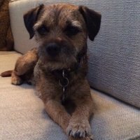 Baxter (@baxtermr) 's Twitter Profile