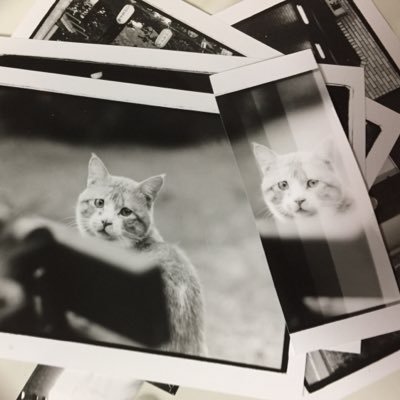 ai3b_o's profile picture. 撮って、撮って、撮り続ける 自家現像と暗室作業をはじめてから、いろんなフィルムと現像液を使って自分に合ったフィルムと現像液を探索中