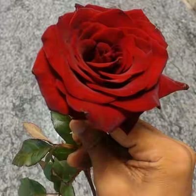 vigneshmariapp6's profile picture. 