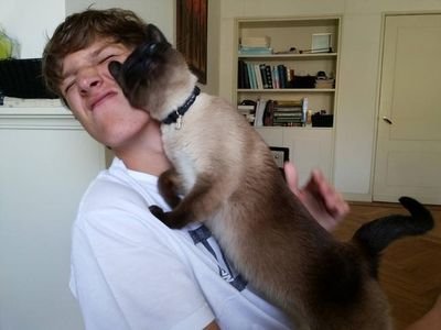 catflow25's profile picture. Ok...