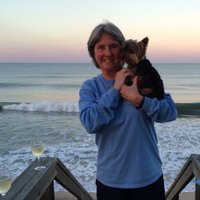 Paula Totherow (@paulabear44) 's Twitter Profile